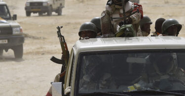 Niger : une trentaine de terroristes dans les filets des forces armées