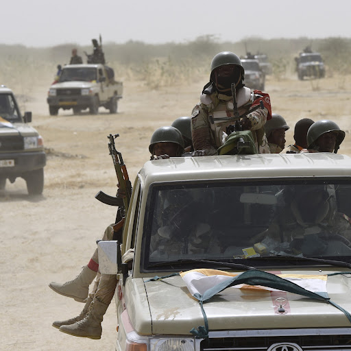 Niger : une trentaine de terroristes dans les filets des forces armées