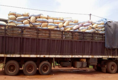 L’AES et le Togo frappés par une décision d’interdiction d'exportation de produits vivriers