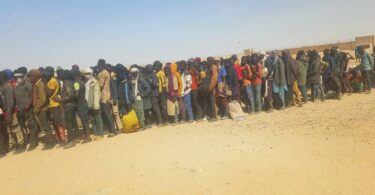 Migration 20 000 migrants expulsés en Algérie